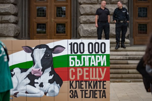 Снимка: Димитър Кьосемарлиев, Dnes.bg